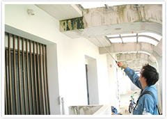 打診調査の様子(2) 打診調査の様子(2)